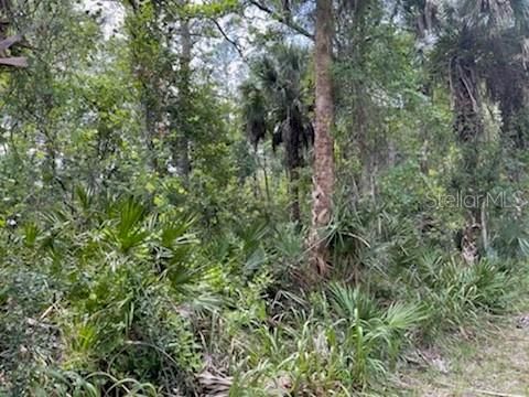 Tiny photo for 8107 W Mayfair Drive, Homosassa, FL 34448 (MLS # U8159965)