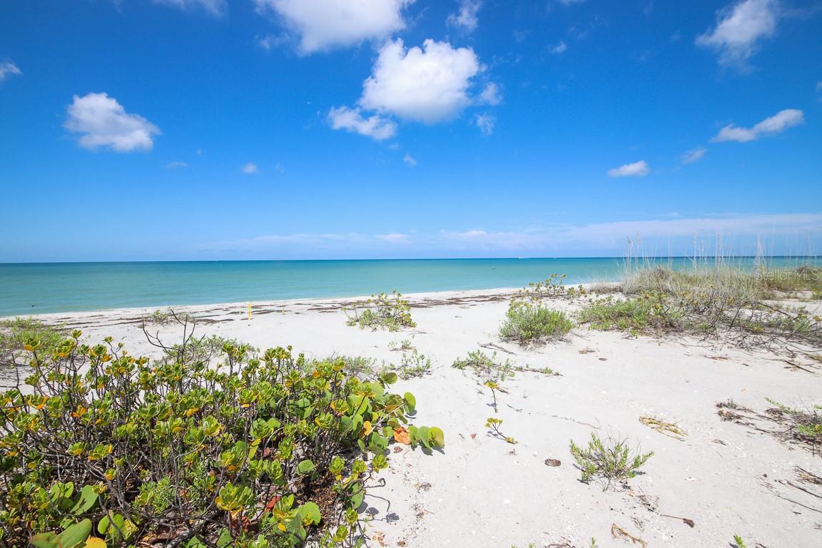 Ideally located in the pristine enclave of Palm Island Resort, at the coveted north end near Stump Pass, awaits a rare opportunity to build your dream coastal escape. Welcome to a direct beachfront paradise with awe-inspiring views of the Gulf of Mexico and breathtaking sunsets all year long. This vacant lot boasts an enviable position, directly overlooking the sugar-white sands and azure waters of the Gulf of Mexico. Your personal oasis awaits, offering the perfect canvas for a custom-designed residence. Survey and engineering reports are available, providing a solid foundation for your future construction plans. Indulge in resort-style living with access to a refreshing pool & cozy hot tub and well-maintained tennis courts, dockage on Rum Bay with direct access to the intracoastal waterway and Gulf of Mexico, bell service, cart & kayak rentals and Rum Bay Restaurant which is conveniently located in the resort. This is more than a vacant lot; it's a rare opportunity to shape your vision of coastal living in one of the most sought-after locations on the west coast of FL.
