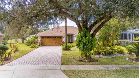 Photo of 6232 Morning Drive, Port Orange, FL 32127 (MLS # FC315789)