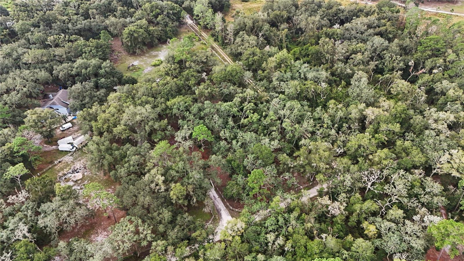 34192 OAK HAMMOCK DRIVE