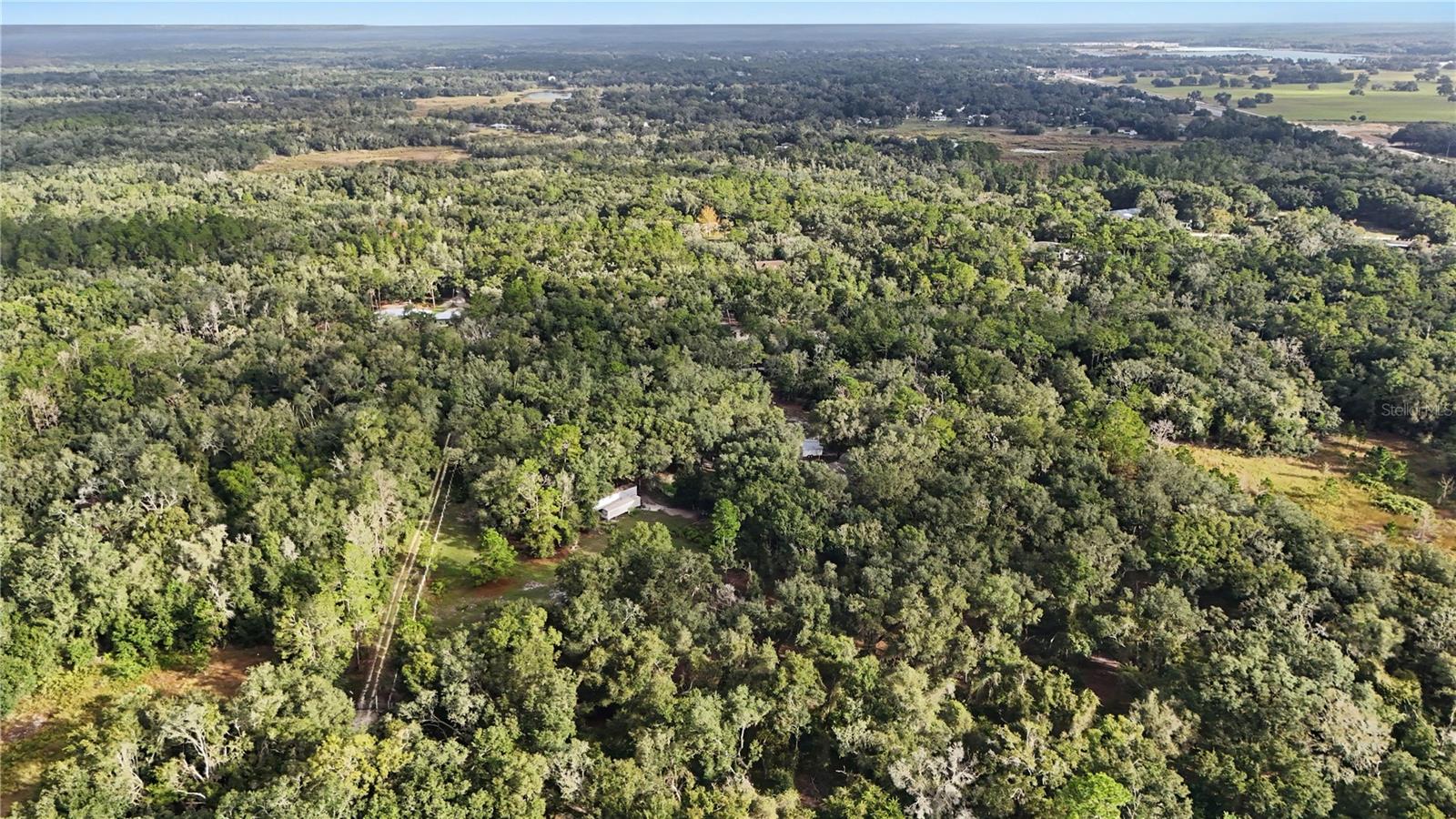 34192 OAK HAMMOCK DRIVE