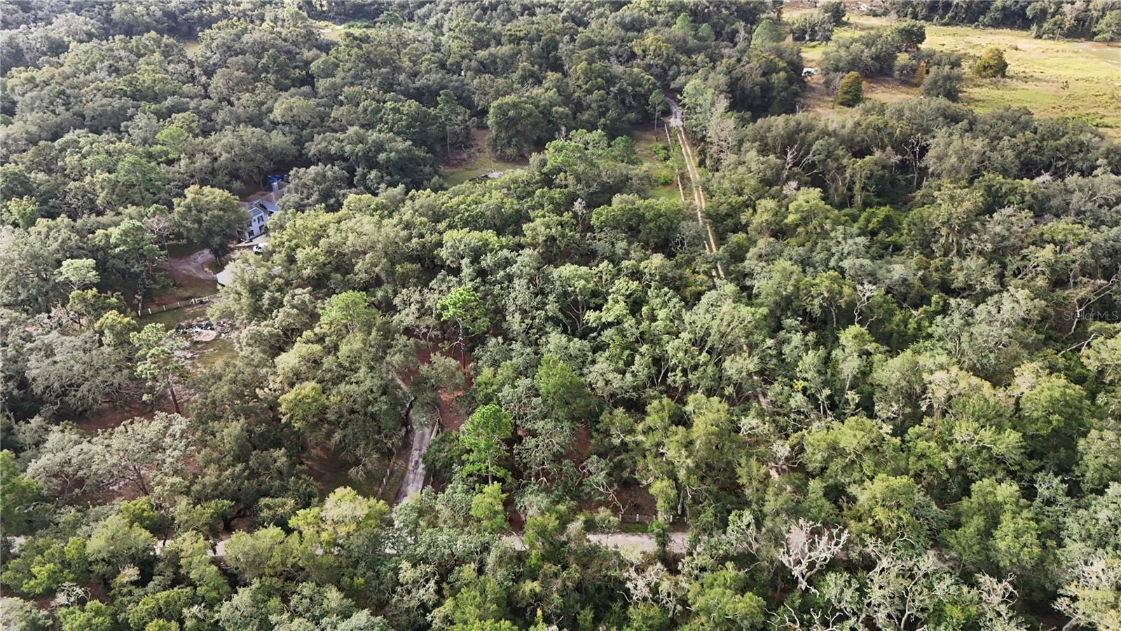 34192 OAK HAMMOCK DRIVE