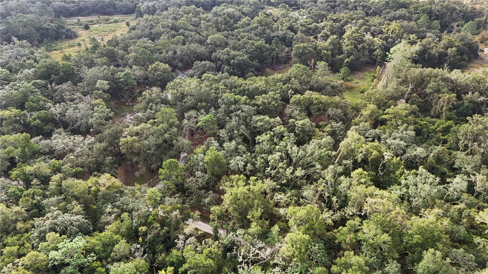 34192 OAK HAMMOCK DRIVE