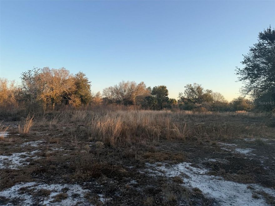 Build your dream home or invest in your future with this beautiful 1.25-acre vacant lot located in the desirable Viking Estates / Prairie area of Okeechobee County. This high and dry, cleared property offers plenty of space and flexibility—perfect for a single-family home, manufactured home, weekend retreat, private homestead, or small ranch. A culvert is already in place for easy access, and power poles are nearby, making electric hookup simple and convenient. The property is gated, cleared, and ready for your vision. Enjoy the peace of rural living while still being within easy driving distance to downtown Okeechobee, shopping, schools, and the world-renowned Lake Okeechobee—famous for boating and record-setting bass fishing. With the area experiencing steady growth, this is an excellent opportunity to purchase affordable Florida land with strong potential for future value.

With the area experiencing steady growth, this is an excellent opportunity to purchase affordable Florida land with strong potential for future value.