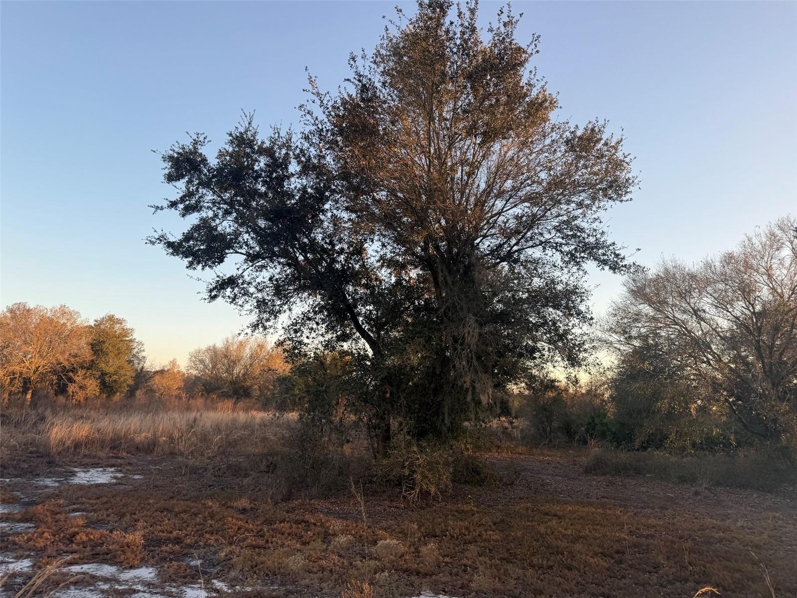 SOUTHERN COLONIZATION CO - Land