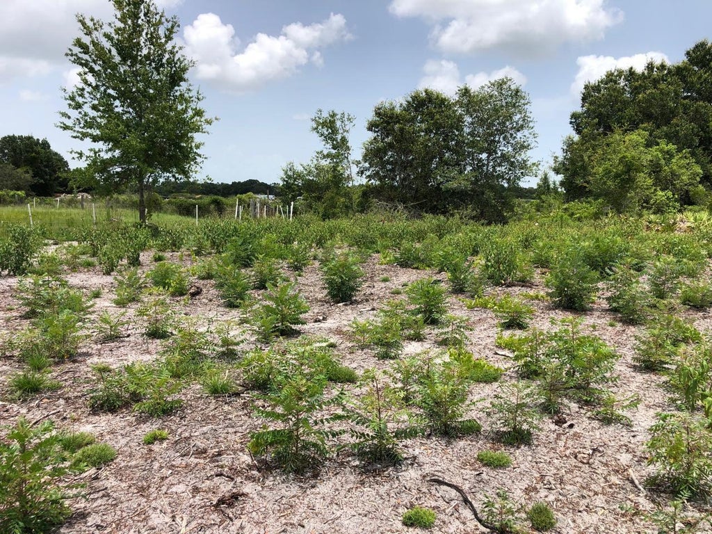 Photo of Duck Key Street, Lake Wales, FL 33859 (MLS # TB8543312)