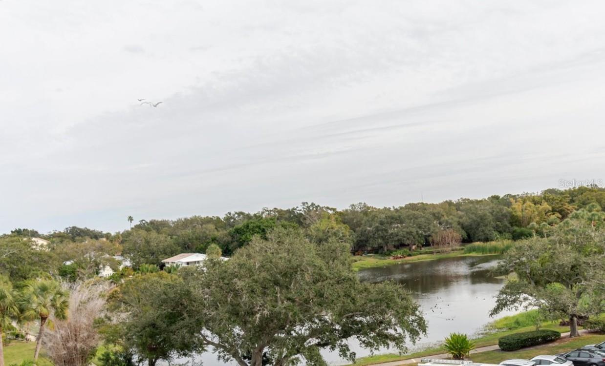 BELLEVIEW BILTMORE VILLAS BAYSHORE I - Residential