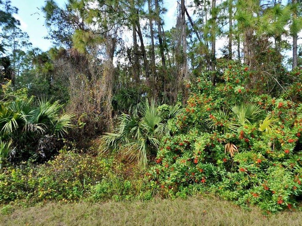 Photo of Jubilee Circle, North Port, FL 34288 (MLS # O6192199)