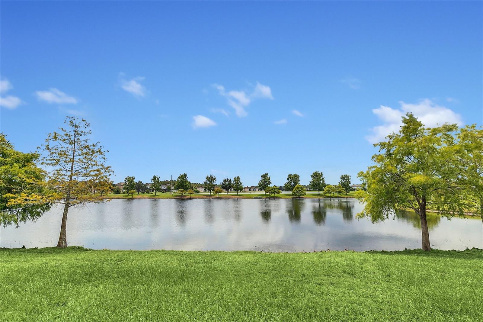 PORTOFINO MDWS - Residential Lease