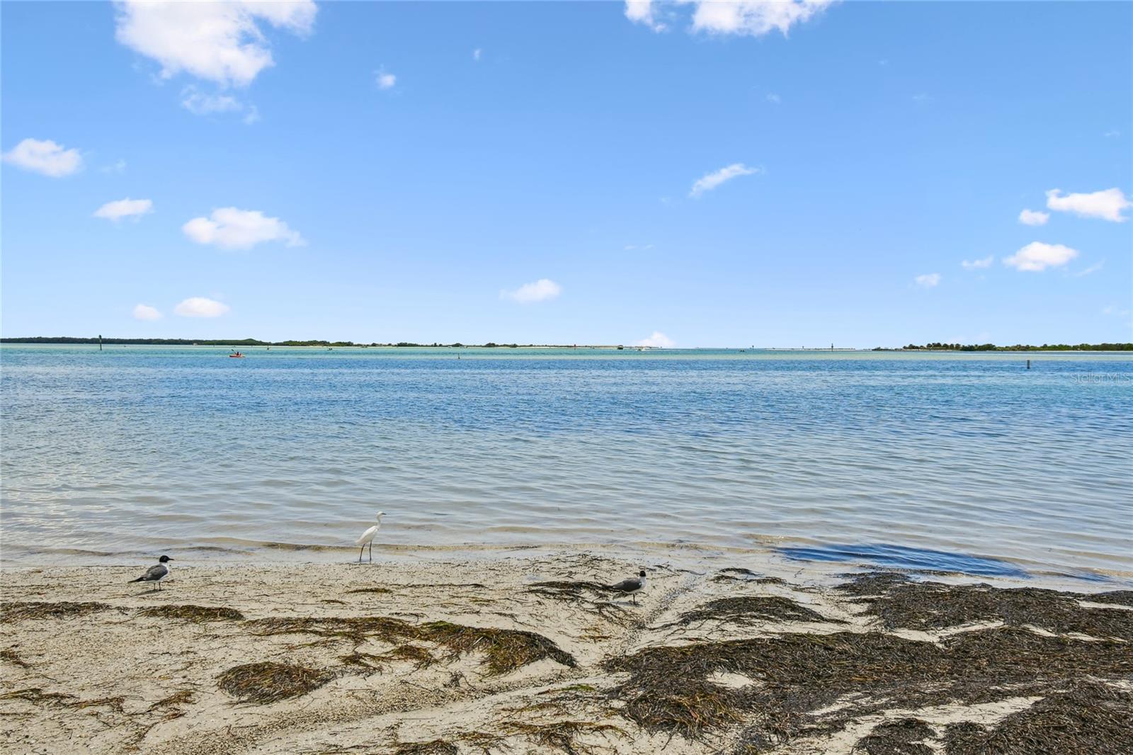 DUNEDIN ISLES COUNTRY CLUB SEC A - Residential