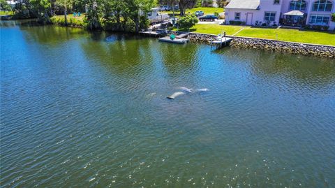Tiny photo for 3861 N Ringdove Point, Crystal River, FL 34428 (MLS # A4684422)