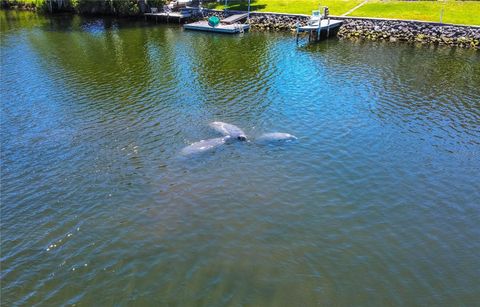 Tiny photo for 3861 N Ringdove Point, Crystal River, FL 34428 (MLS # A4684422)