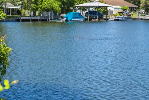 Tiny photo for 3861 N Ringdove Point, Crystal River, FL 34428 (MLS # A4684422)