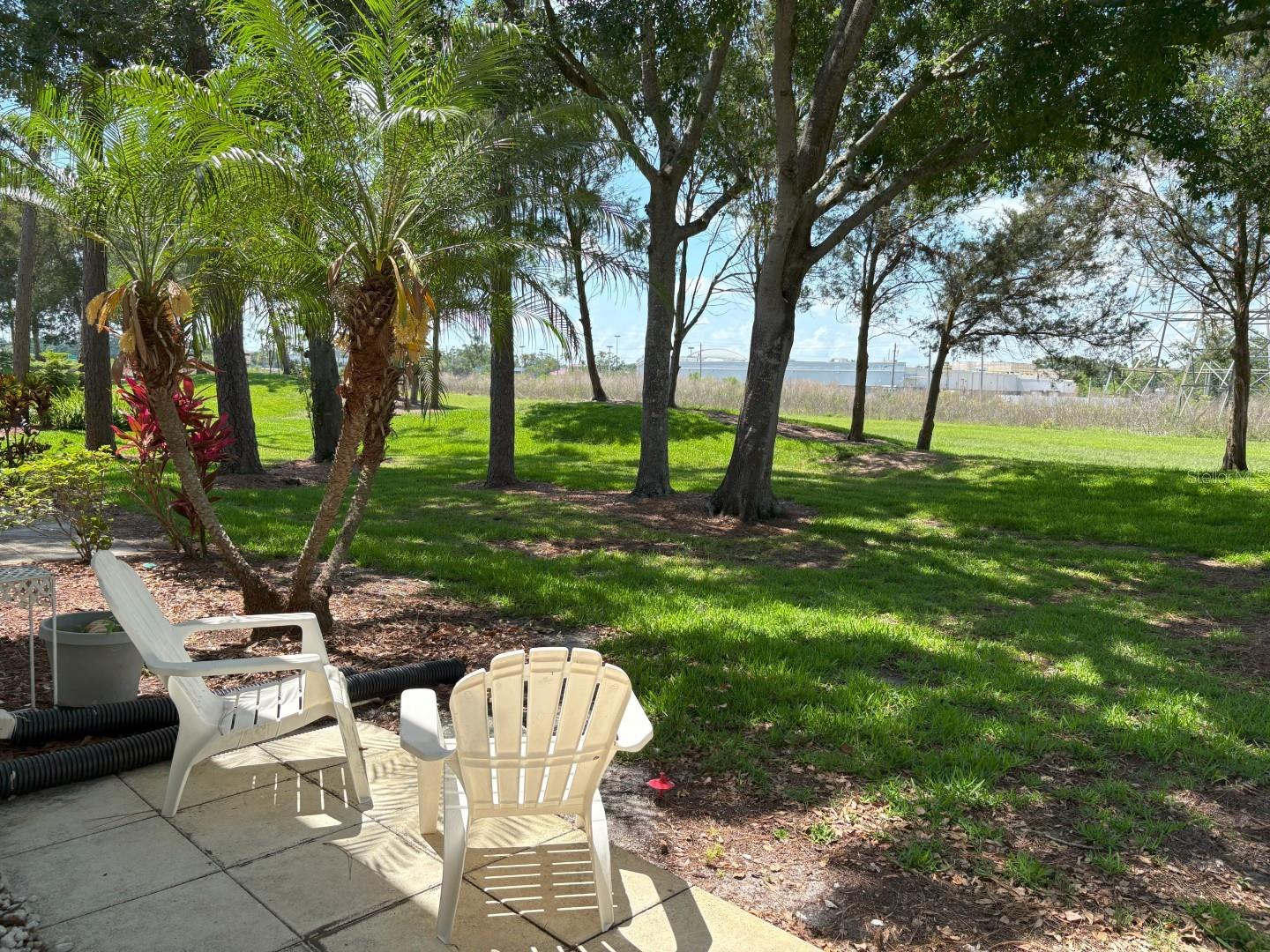 MEADOWS CONDO AT EAST LAKE WOODLANDS - Residential