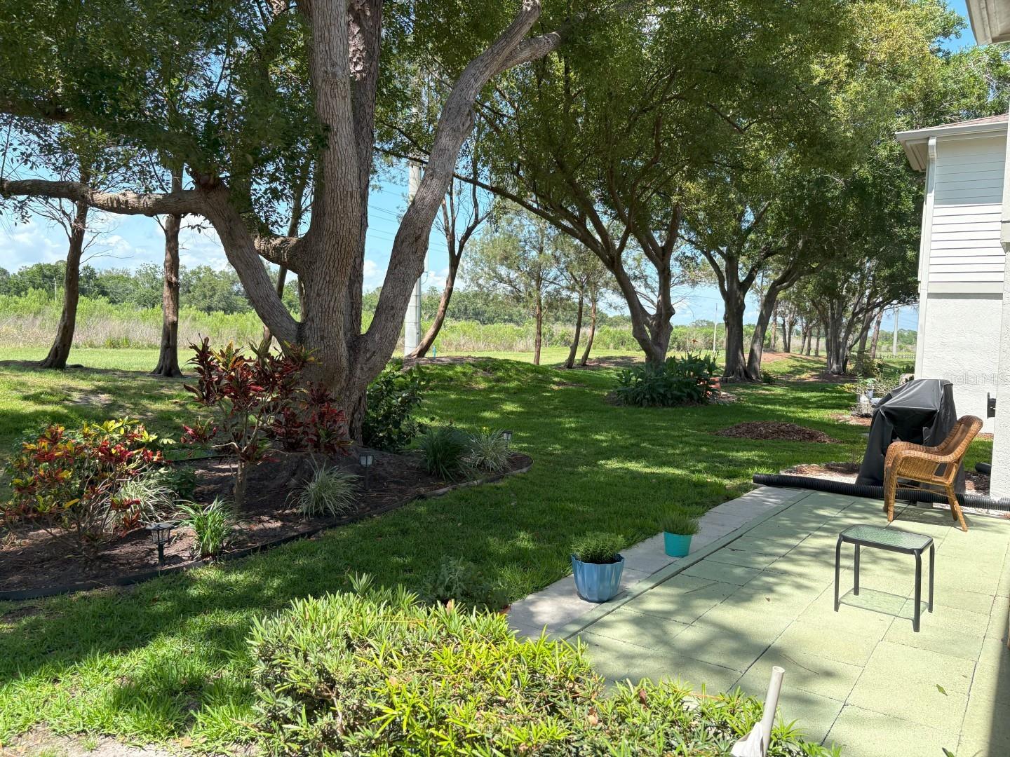 MEADOWS CONDO AT EAST LAKE WOODLANDS - Residential