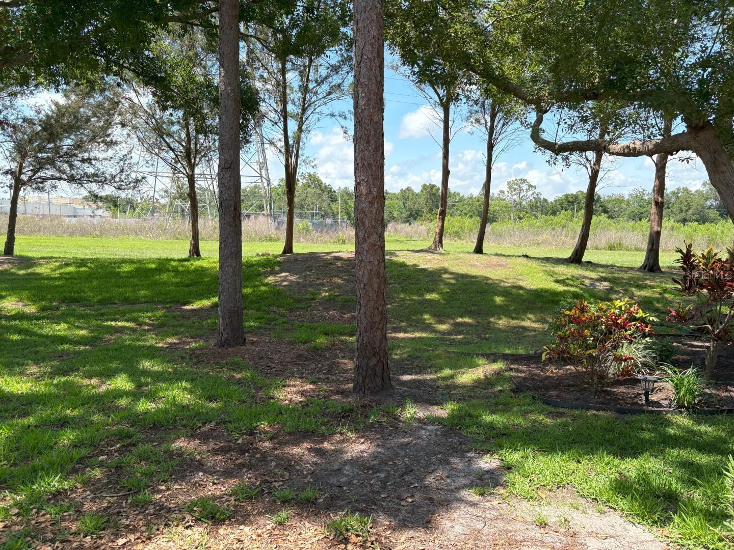 MEADOWS CONDO AT EAST LAKE WOODLANDS - Residential