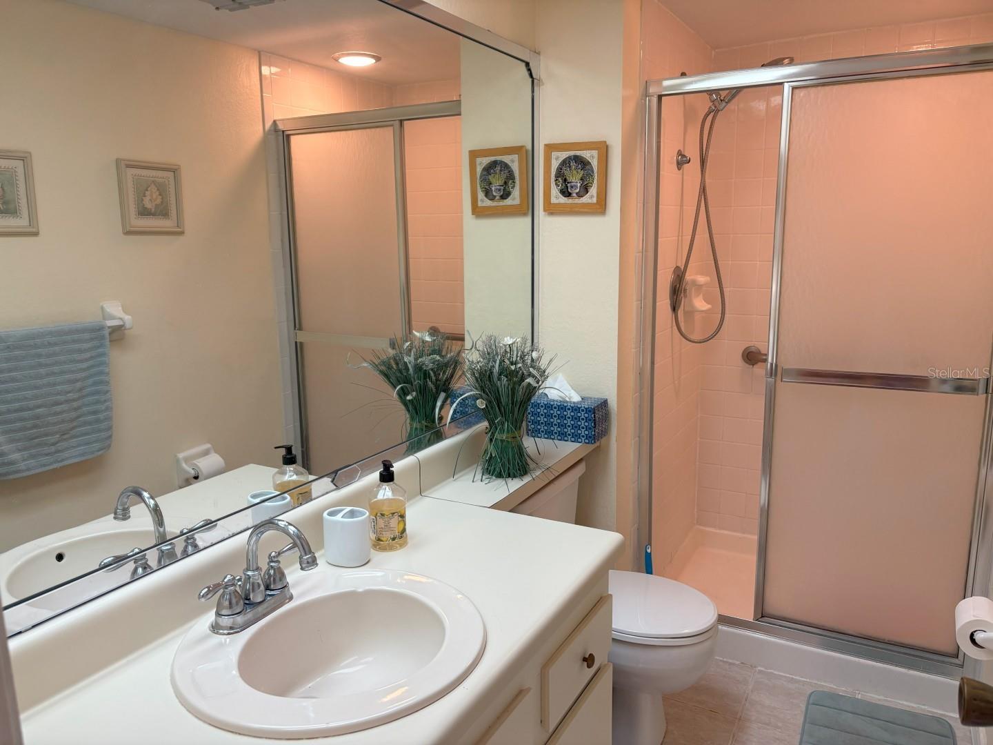 MEADOWS CONDO AT EAST LAKE WOODLANDS - Residential