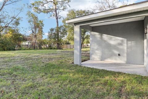 A home in DELAND