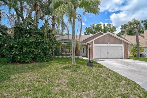 Photo of 5737 Forester Lake Drive, Sarasota, FL 34243 (MLS # A4695165)
