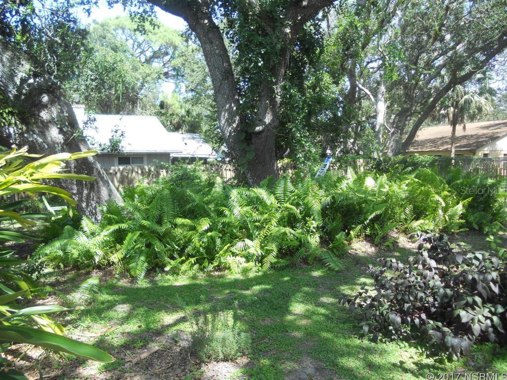 New Smyrna Beach - Residential
