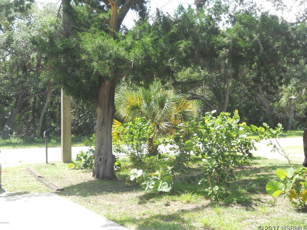 New Smyrna Beach - Residential