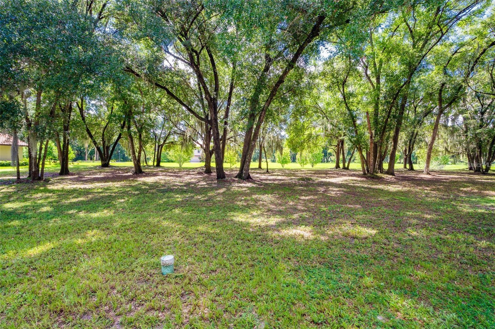 Luxury Lot 51 in Lakes of DeLand Breathtaking Water View of Lake Mamie | Across from Bent Tree Park Discover the pinnacle of luxury living with Lot 51 in the prestigious Lakes of DeLand community. Nestled in the heart of beautiful historic DeLand, this prime piece of real estate offers an unrivaled view of the serene Lake Mamie, promising tranquility and picturesque sunsets. Key Features: Stunning Water View: Enjoy a panoramic view of the pristine Lake Mamie right from your doorstep. Perfect for nature lovers and those seeking a peaceful retreat. Prime Location: Situated directly across from the scenic Bent Tree Park, this lot provides easy access to lush greenery and recreational activities. Historic Charm: Immerse yourself in the charm of historic DeLand, renowned for its rich heritage and vibrant community. Majestic Oak Trees: Surrounded by towering, majestic oak trees, the lot offers a sense of privacy and a touch of natural grandeur. Exclusive Community: Lakes of DeLand is known for its upscale ambiance, meticulously maintained surroundings, and a sense of refined elegance. This is more than just a lot; it's an opportunity to build your dream home in a location that combines natural beauty, historic charm, and modern luxury. Don't miss out on the chance to be part of this exclusive community.