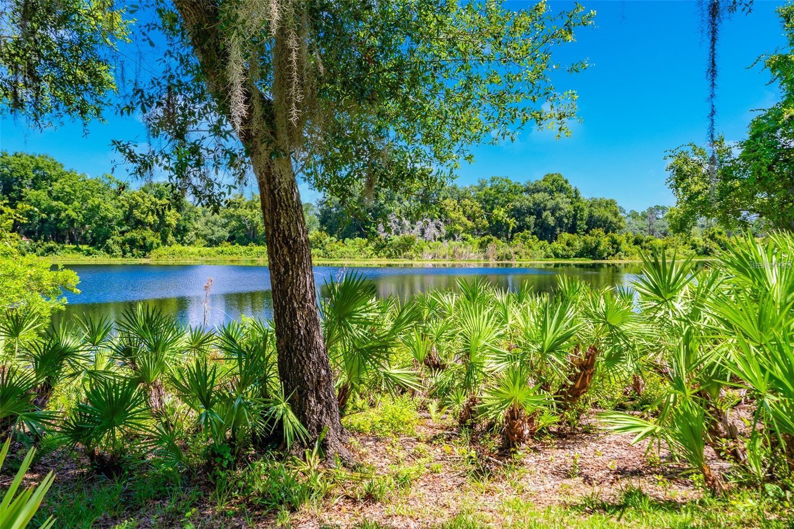 LAKES OF DELAND PH 02 - Land