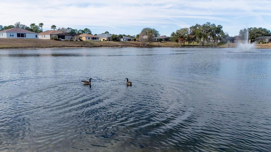 SUMMERGLEN PH 05 - Residential