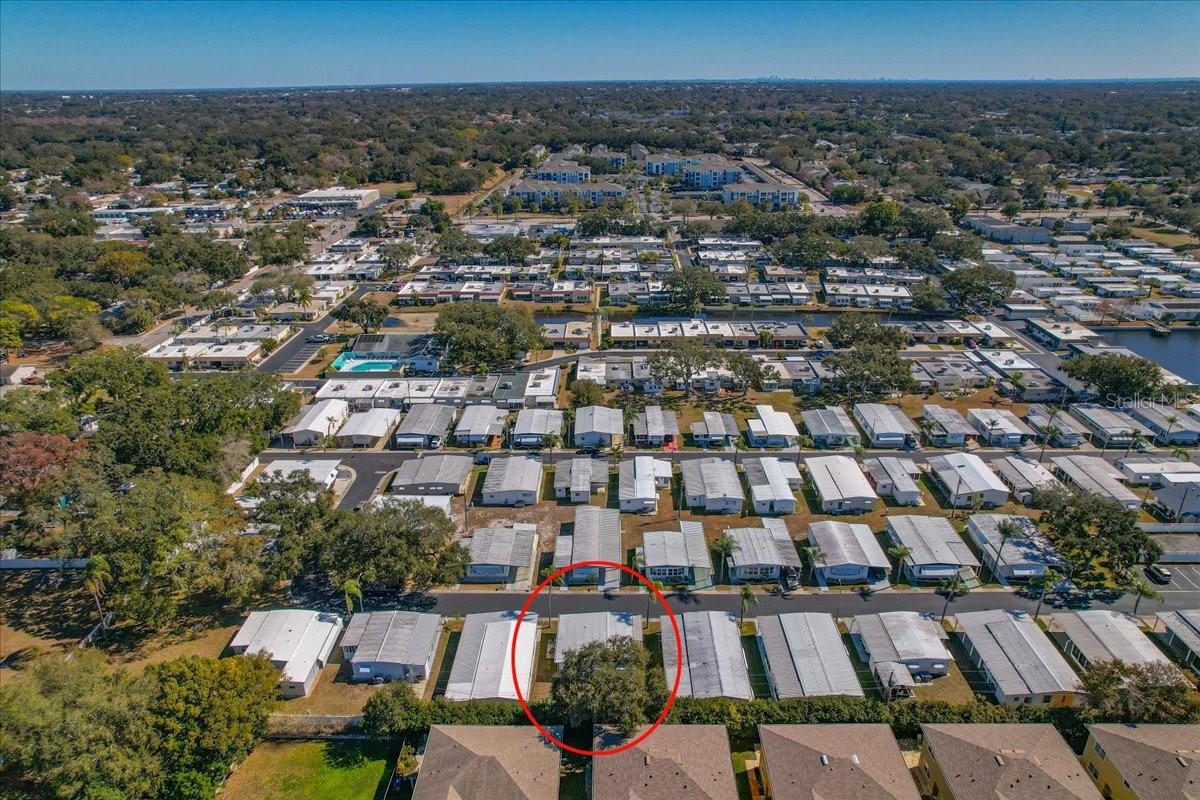 DUNEDIN PALMS UNREC - Residential