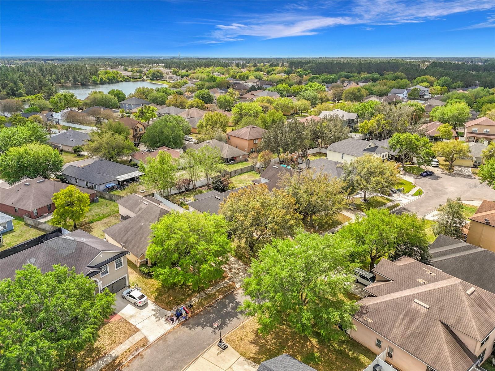 OAKLEAF/OAKLEAF PLANTATION - Residential