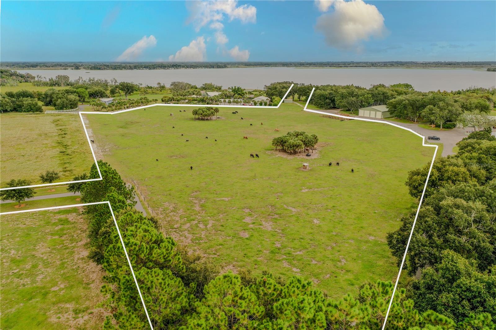 8010 LAKE LOWERY ROAD