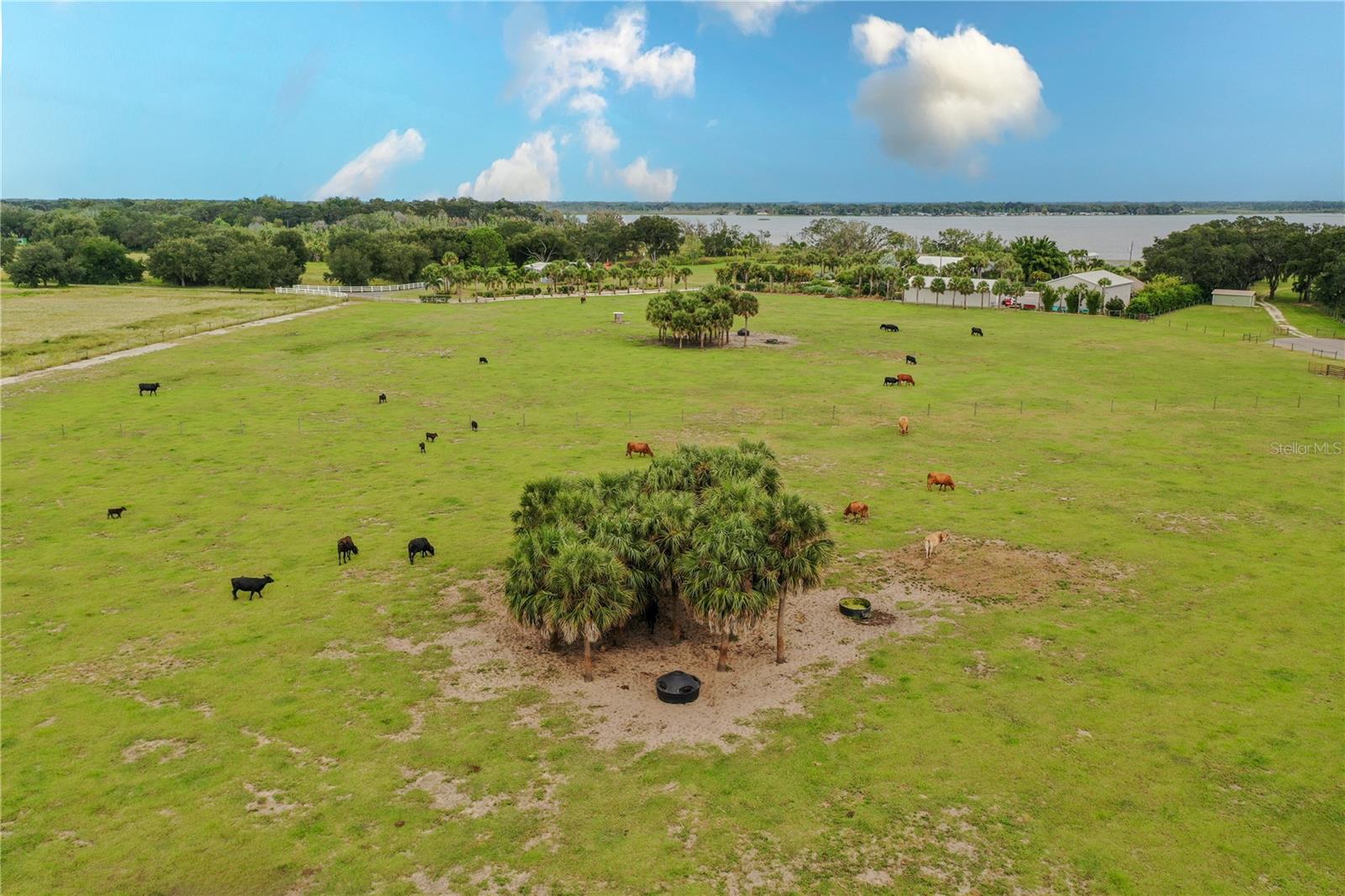 8010 LAKE LOWERY ROAD