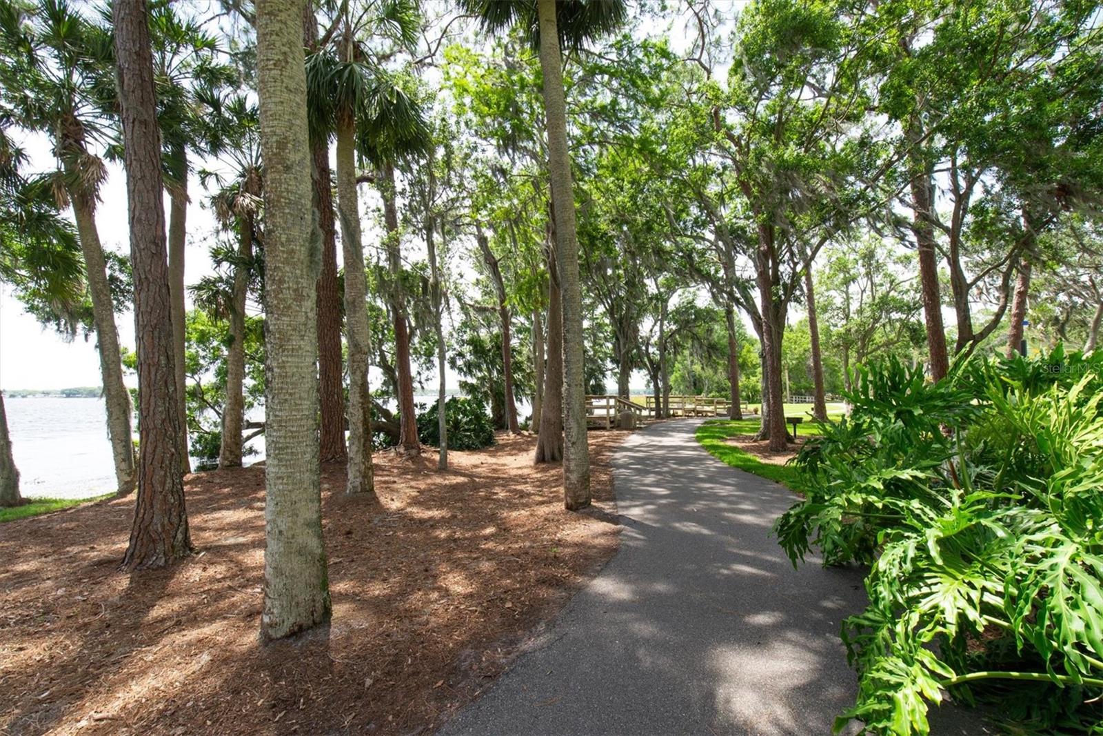 JUNIPER BAY PH 4 - Residential