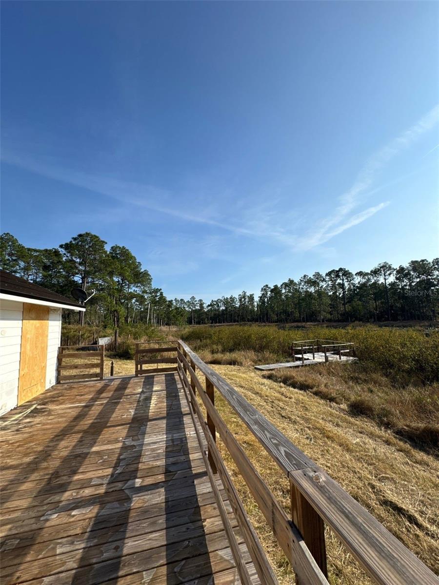 42111 CHINABERRY COURT