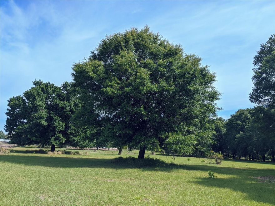 This beautiful .80 acres is located in St. Cloud and ready to build your custom dream home with Snow Construction. Property is partially cleared, leaving many gorgeous mature oak trees and is high/dry. Just a short drive to the boat ramp at Canal 33, with access to Alligator Lake and the chain of lakes. Private Lake Gentry is also nearby! Just a few minutes away from 192, Narcoossee Road and Harmony. A short drive to Lake Nona, Orlando International Airport, Central Florida Theme parks or head East to the Beach. No HOA or CDD! If you have been waiting on smaller lots to build now is your chance!