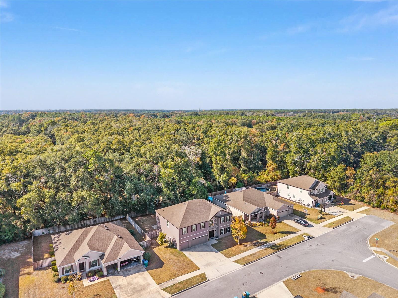 NEWBERRY OAKS PH 8 - Residential