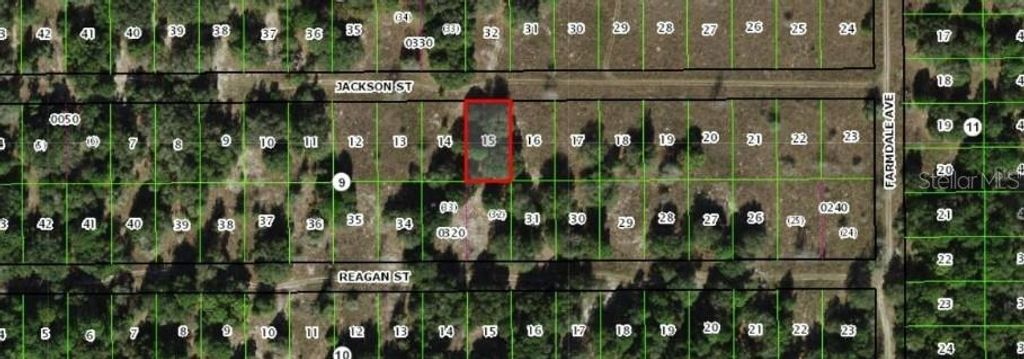 Photo of 2403 Jackson Street, Inverness, FL 34453 (MLS # C7514516)