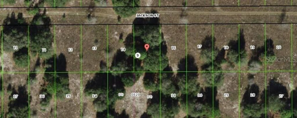 Photo of 2403 Jackson Street, Inverness, FL 34453 (MLS # C7514516)