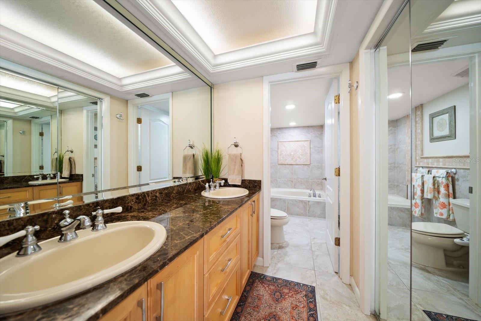 HARBORAGE CONDO BELLEAIR BEACH - Residential