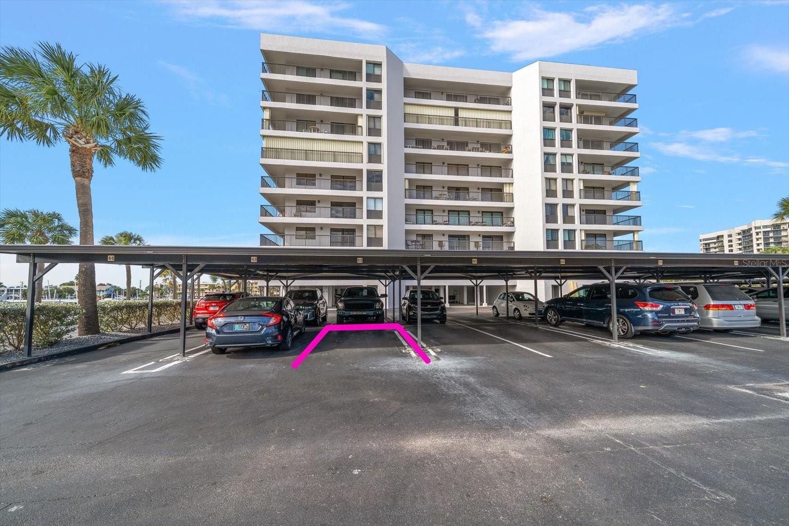 HARBORAGE CONDO BELLEAIR BEACH - Residential