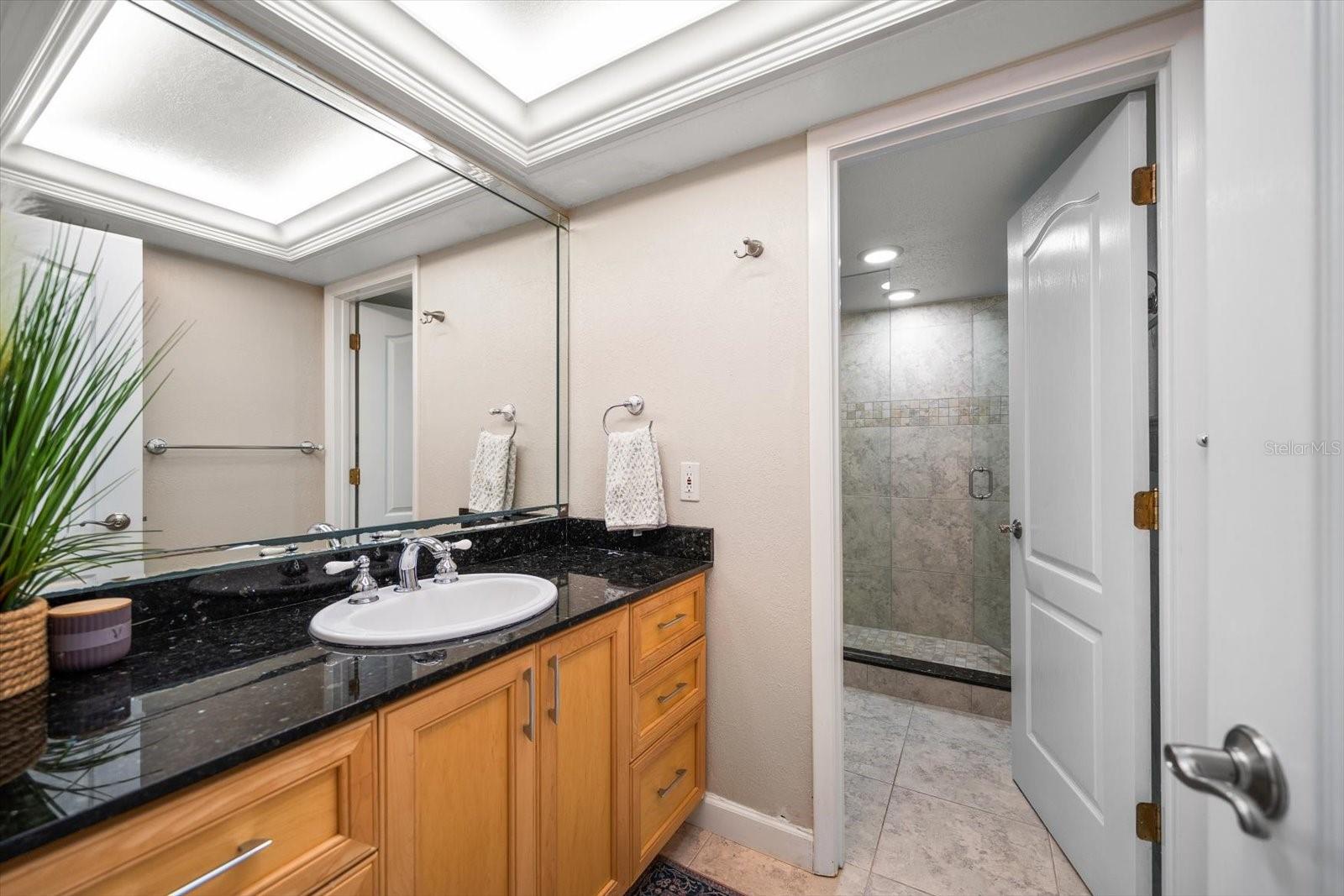 HARBORAGE CONDO BELLEAIR BEACH - Residential