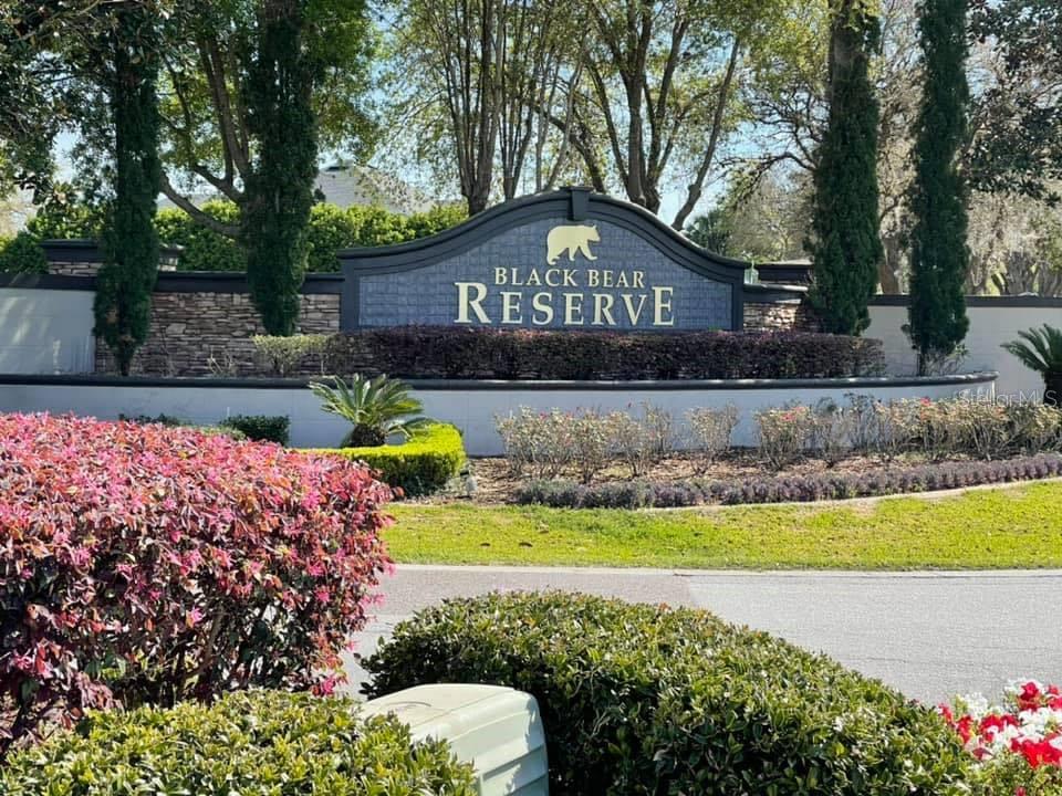 VILLAGE AT BLACK BEAR - Residential