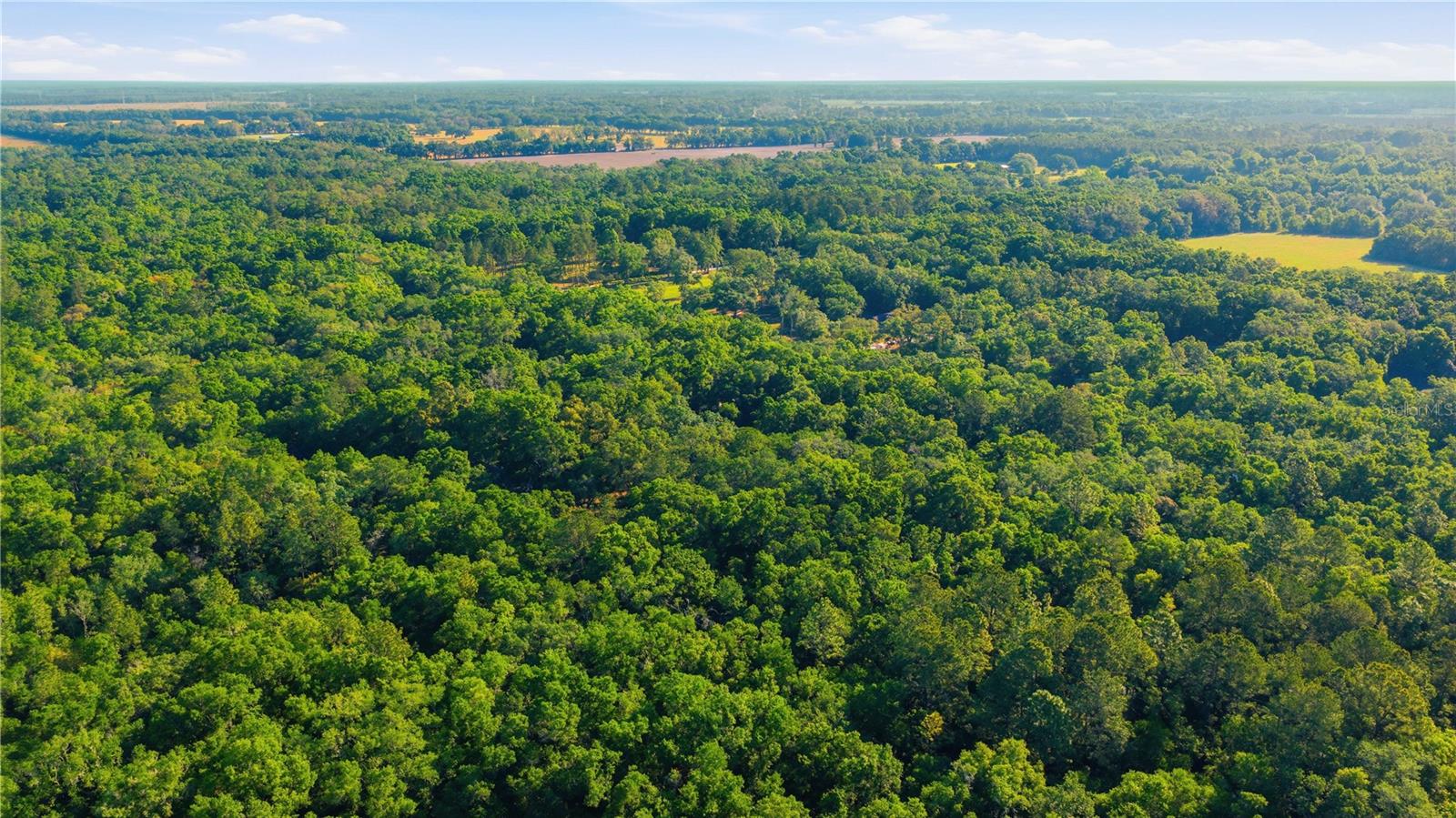 RALEIGH OAKS - Residential