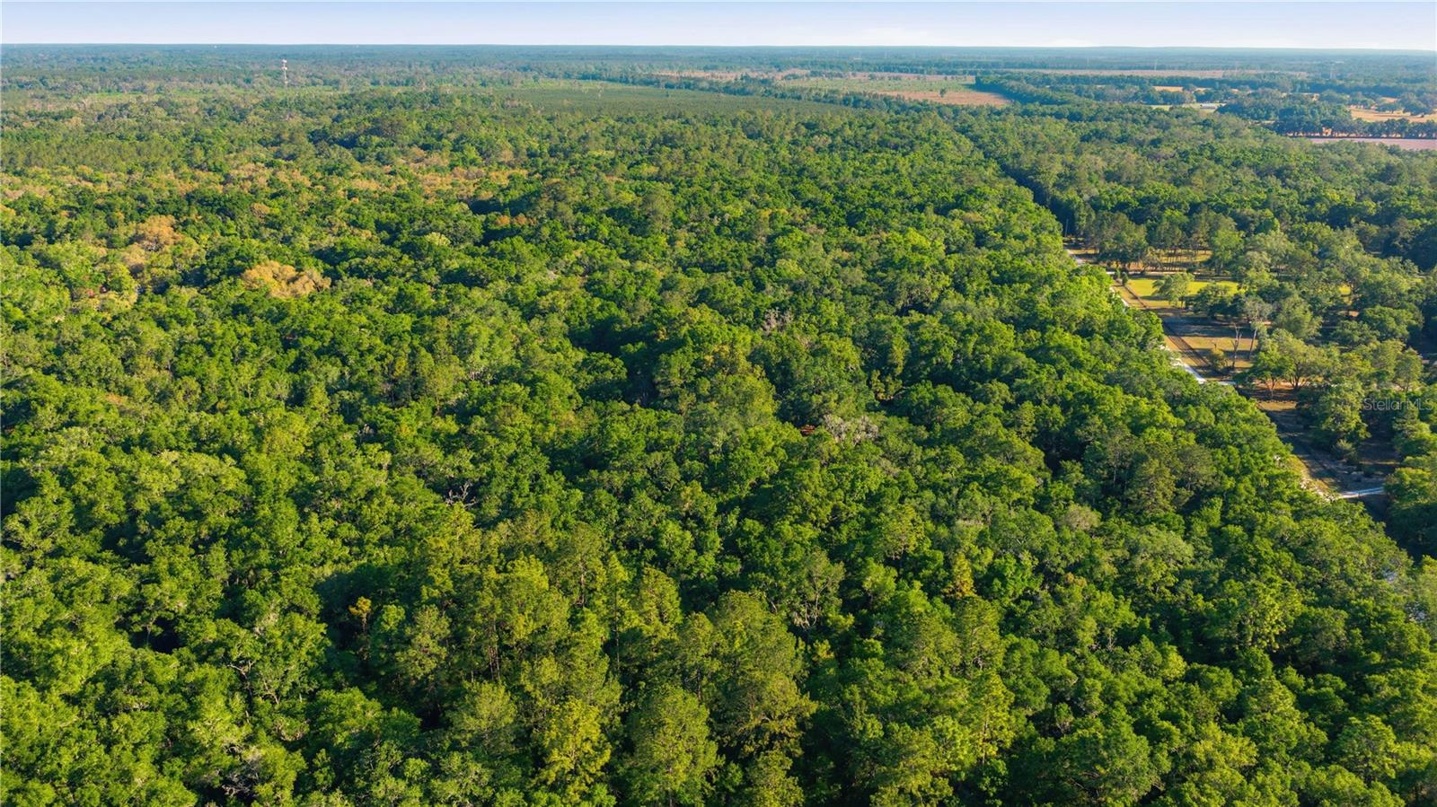RALEIGH OAKS - Residential