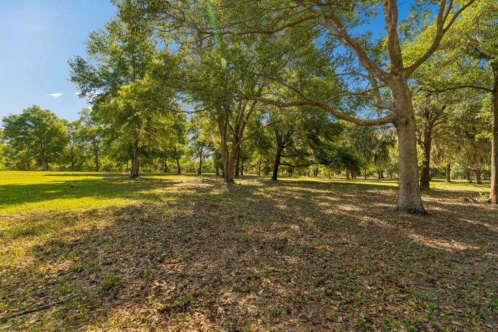 31501 REED ROAD