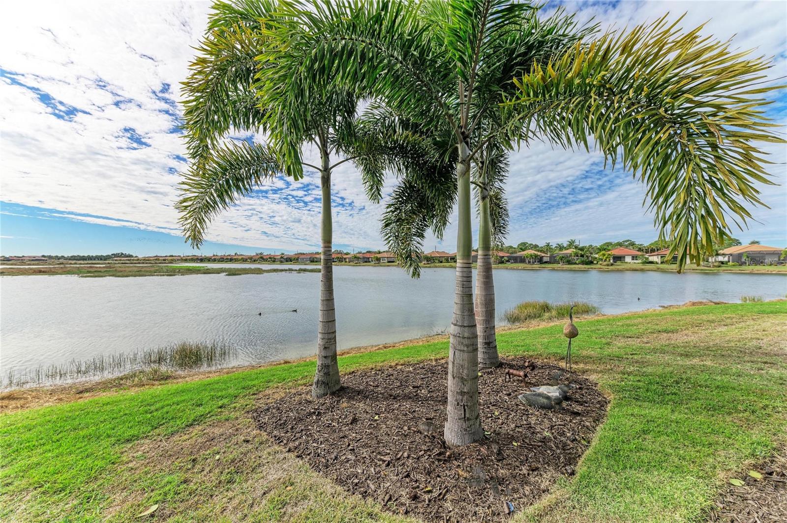 629 MARAVIYA BOULEVARD