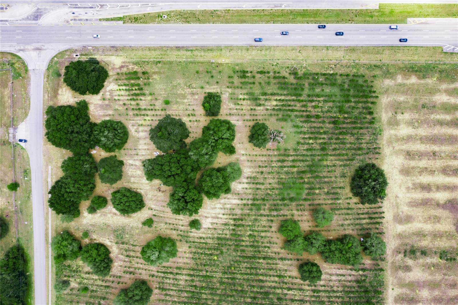 FLA DEV CO SUB - Land