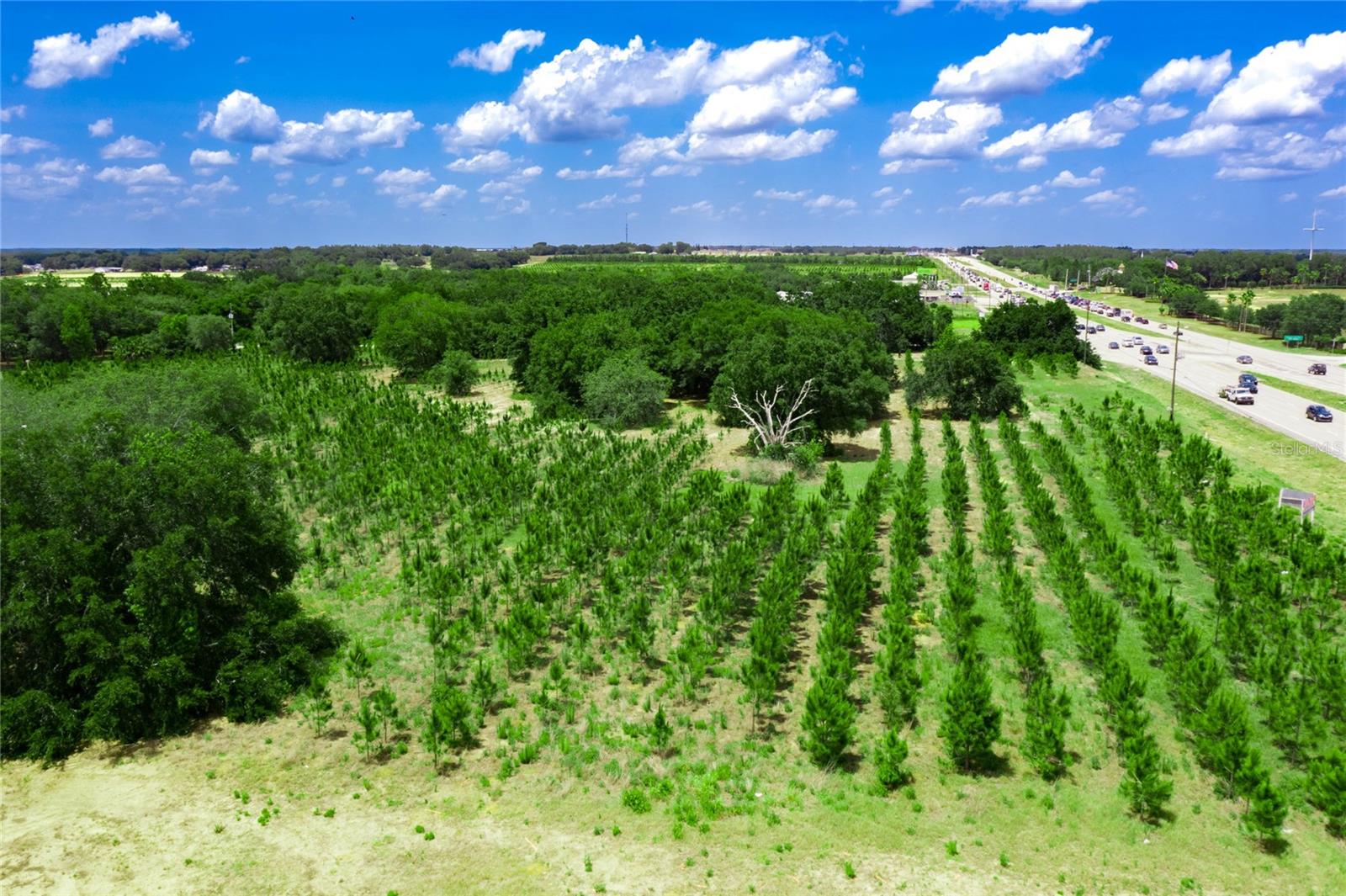 FLA DEV CO SUB - Land