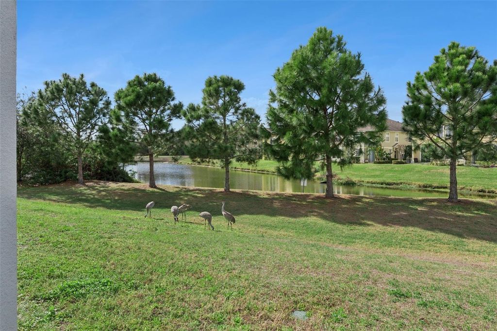 Photo of 8501 Falling Blue Place, Riverview, FL 33578 (MLS # O6388140)