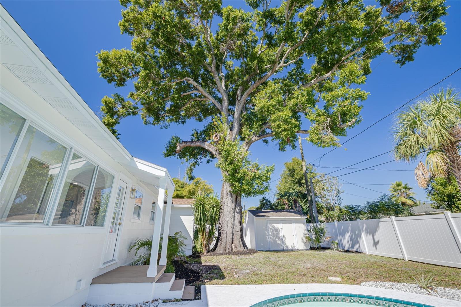 VARIETY VILLAGE REP - Residential